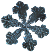 snowflake 32 listahan